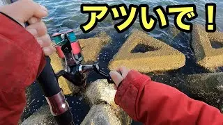 【アツいで】誰も居ない釣り場で一人バトりました～。孤独な闘いを制しました【ショアジギング/飲ませ釣り】