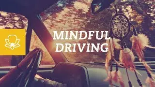 Mindfulness Meditation for Driving