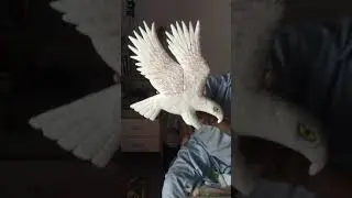 Amazing DIY eagle sketch making | #short | #shortvideos | #youtubeshortvideos | #DIY #eagle #crafts