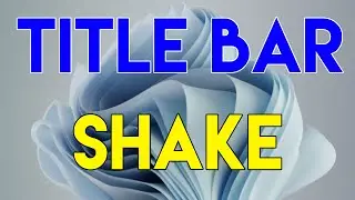 How to Enable Title Bar Window Shake on Windows 11