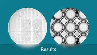 Wound Healing test with CytoSMART OMNI brightfield live-cell imager | PKDERM