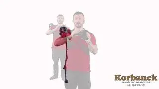 Wałki bondioli pavesi w sieci KORBANEK