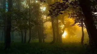 Copyright-free music | copyright-free nature background video | copyright nature background music