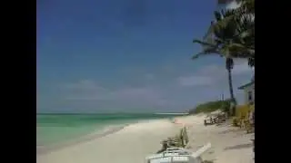 Cow Wreck Beach BVI's