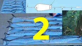 Unlocking the Secret to Moreton Bay Mackerel Trolling - Part 2!