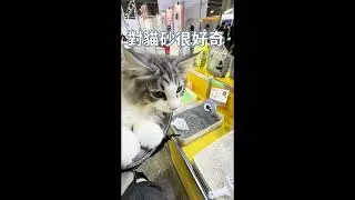 Magni陪你逛寵物展EP.01｜2026年寵物展 萌寵物用品展 萌寵年貨大街