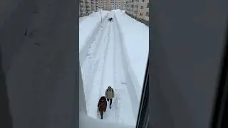 Немножко снега выпало 🤣 #снежныйколлапс #городзамелоснегом #сугробысдом