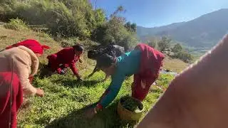 nepali ghaule samudaya❤️🙏🏻