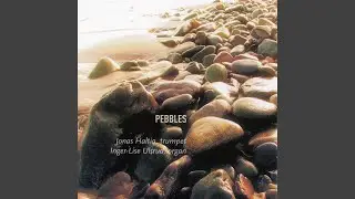 Sentimental Pebbles, Pebble Dream