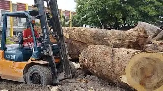 Cutting Rain Wood to Make Solid Boards for Table Material