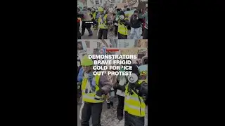 Demonstrators brave frigid cold for &lsquo;ICE Out&rsquo; protest