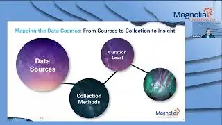 Real World Data Curation for Market Access - Webinar by Magnolia Market Access