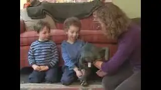 Attentive Parenting p6 Vignette 1