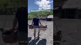 Visit a Traditional Bali Salt Farm: A Unique Family Experience