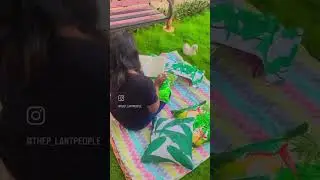 Nature inspired cushions from lushlyofficial