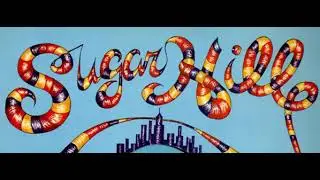 Sekou Bunch - Can't Stop Lovin' You (Instrumental) Sugar Hill records 1982