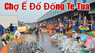Chợ Bình Điền sáng nay Hải sản đổ đống ế te tua ngày 16 tháng 1, 2026