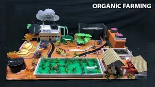 How to make an Organic farming school project step by step ! Climate resilient farming project
