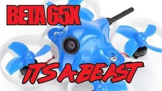 BETA65X Freestyle Session & Review