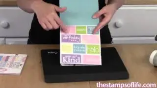 The Stamps of Life: Sizzix Spring Birds Triplits & New Patterned Paper