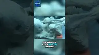 3-Finger-Mumien: Unglaubliche Entdeckungen der verl&auml;ngerten Sch&auml;del @UFOTVAktuell
