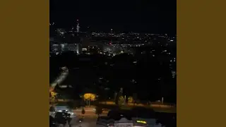 vienna