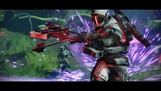 Destiny 2- Deathless Auto and Essence of Failure (except Captive Cord) with Awoken Hunter