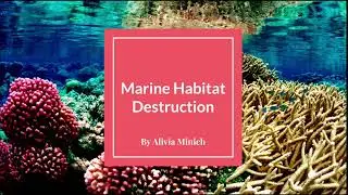 Marine Habitat Destruction