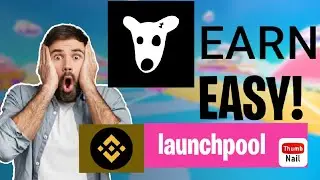 Dogs: Binance launchpool - How to do a launchpool! What is a launchpool