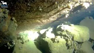 Tauchen im Werbellinsee