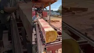 Red Cedar Cut Into 8x8 Material | Cooks AC36 #sawmill
