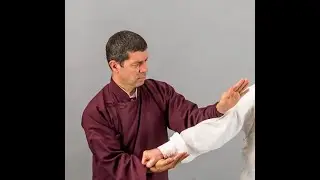 San Shou Pekingform Tai Chi