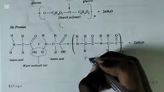 FORM 4: TOPIC 6: ORGANIC CHEMISTRY II: LESSON 10 - Polymers - (Condensation Polymerization)