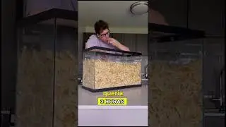 COMIO 100 LITROS DE PAPAS FRITAS (cred: @wallywhatthe on TT)