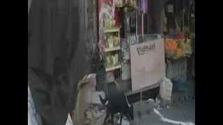 EXCLUSIVE: Biryani bomb used in Jammu blast, Know all about it