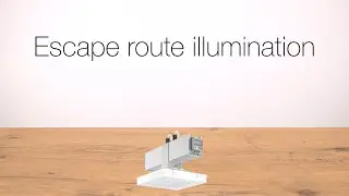 Quick & easy: Escape route illumination | LINEDO | Continuous line luminaire system