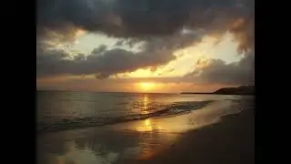 Fuerteventura, Canary Islands,  с павлинами, фламинго, жирафами и крокодилами, есть и гепард.