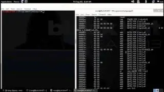 Reverse Engineer (Kali Linux)