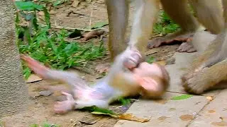 Deep hurt! So pity when mom Luna drugging baby Lucie till fall down like that.