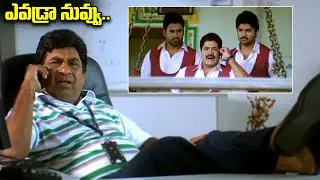 Brahmanandam Best Comedy Scene || Telugu Latest Movie Comedy Scenes || iDream