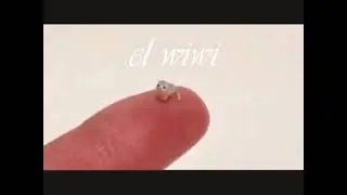 el wiwi
