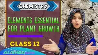 Fsc Chemistry lecture Elements Essential for Plant Growth || Alishba TMS