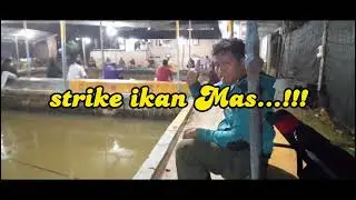MABAR KOLAM#mancingkolam #strike #mancingmania #mancingliar #mancingdanau#casting#batamindonesia