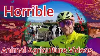 Where are all the Horrible Animal Agriculture Videos on social media!?
