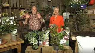 LIVE You can Garden in January