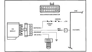 1986 Chevrolet - Code 43 - Electronic Spark Control (ESC) Voltage Low - ECM Diagnostic Trouble Codes