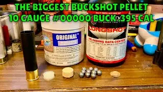 10GA 10 Pellet #00000 Buckshot .395 Cal Pellets