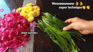 2023 Pongal Decoration ideas at home/festival flower decoration ideas/mango leaf decoration for door