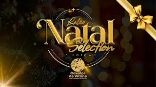 7º LEILÃO NATAL SELECTION - Cavalos de Vitrine