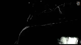 Pkyek Abhay The Vampire Revealed Promo.